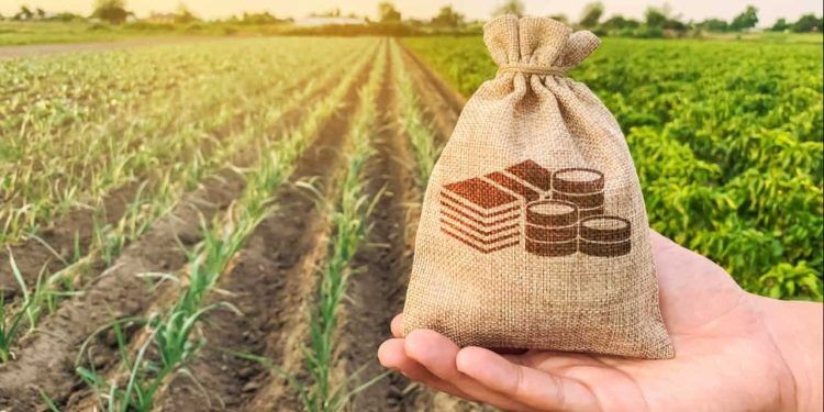 BNDES Libera R$ 5,1 Bilhões para Programas do Plano Safra 2023/2024