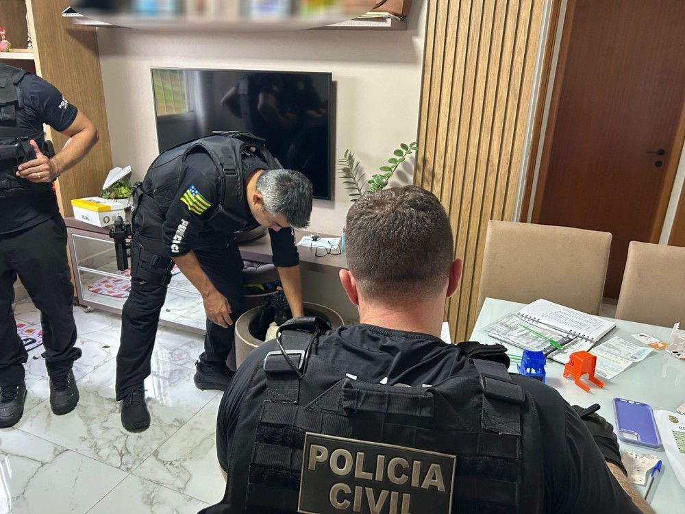 Operação da Polícia Civil mira criminosos que roubavam veículos de luxo em SP E RJ e comercializavam em Goiás