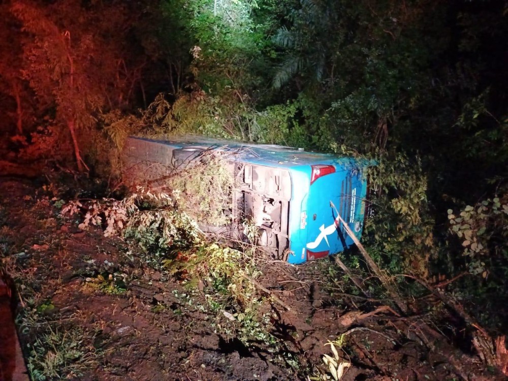 Ônibus tomba na BR-153 em Santa Tereza de Goiás e deixa quatro pessoas feridas