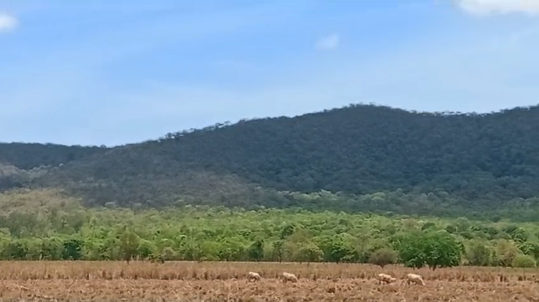 Dois homens ficam perdidos por mais de 8 horas em mata fechada no norte goiano