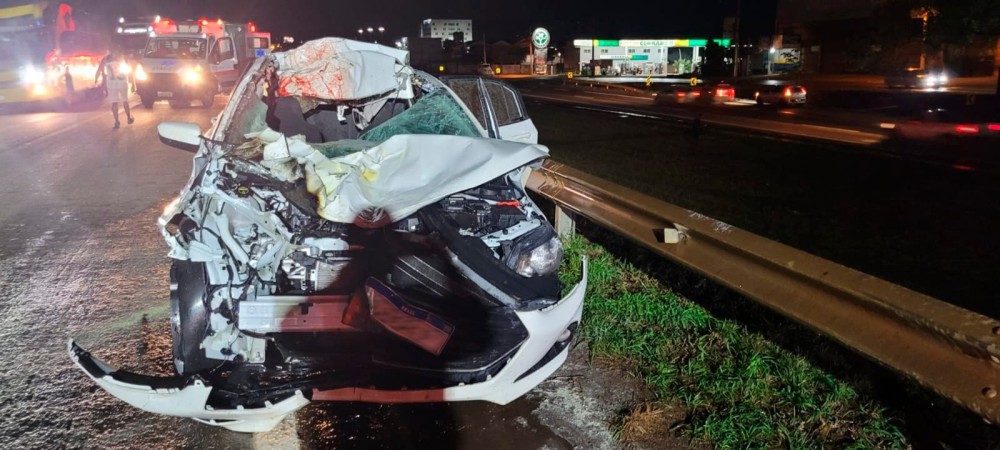 Cavalos invadem rodovia e causam acidente grave em Anápolis