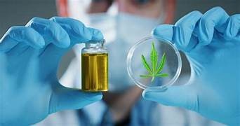 Custo mensal para tratamento com cannabis medicinal caiu 41% em 2 anos no Brasil. Redução no frete atingiu 70%
