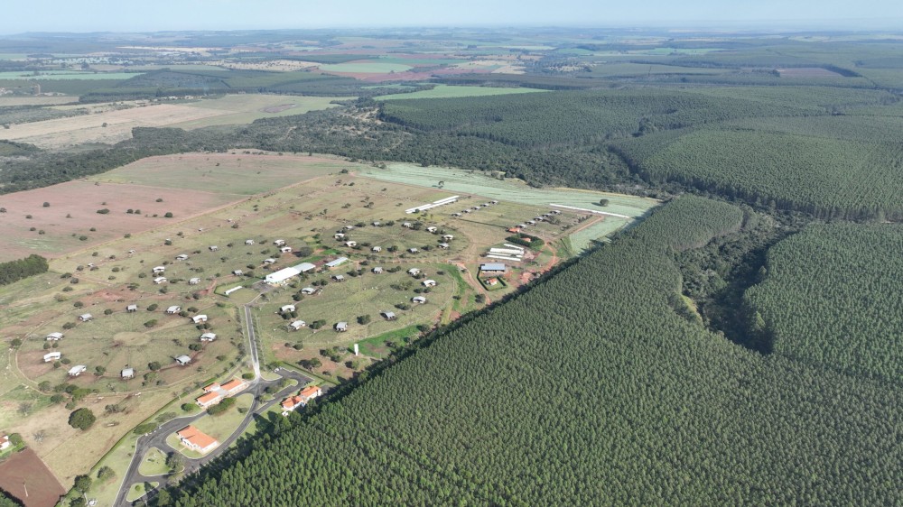 Sêmen bovino de alta fertilidade posiciona Seleon Biotecnologia como “Fábrica de Líderes de Sumários”