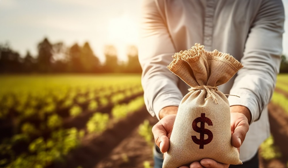 Agronegócios e franquias: setores abundantes de oportunidades