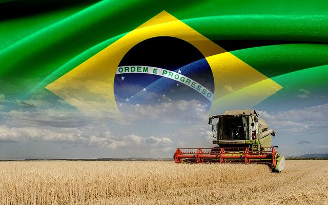 Brasil vem conquistando espaço nos mercados internacionais através da agropecuária